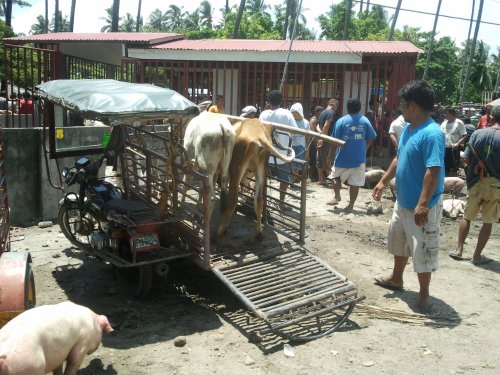 Malatapay Market